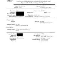 James Ricky Neumeyer - 2024 criminal case - police report 1