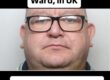 Steven Wilkinson